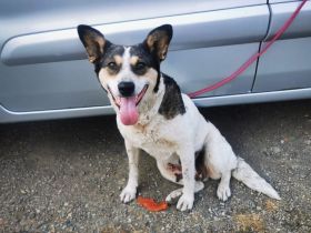 Noa ist bereit für ein neues Leben