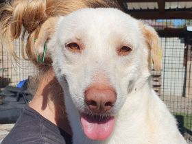 Maleen möchte endlich in einem eigenen, warmen Körbchen erholsam schlafen, 6 Jahre, 48 cm
