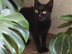 Luna und Lloron, Mutter und Sohn