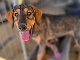 Auguste – sanft und voller Hoffnung