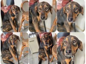 Auguste – sanft und voller Hoffnung