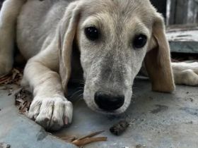 Jette – voller Energie und mit offenem Herzen