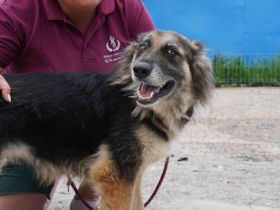 Neska freut sich schon auf dich!