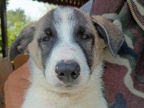 Pierre wartet auf seine Familie