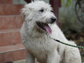 Verliebst du dich in Rob?