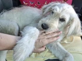 Verliebst du dich in Rob?