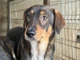 Möchtest du mit rocket in die Zukunft starten?