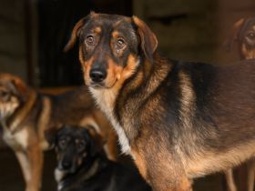 Möchtest du mit rocket in die Zukunft starten?