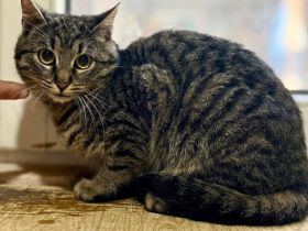 Sebastian: Die Liebe, die er sucht, ist die, die sich Zeit nimmt