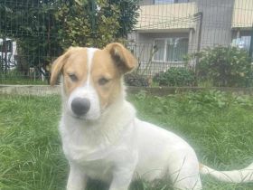 Hier kommt dein Herzblatt!