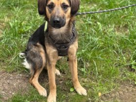 Marty sucht seine Lieblingsmenschen...