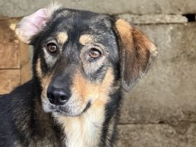 Daphne will endlich vertrauen