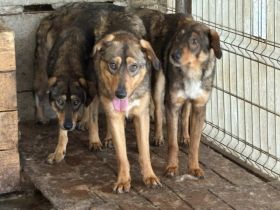 Zeig Cuan, wie schön die Welt sein kann - er wartet auf dich