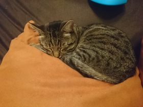 2 kuschelnasen suchen zusammen