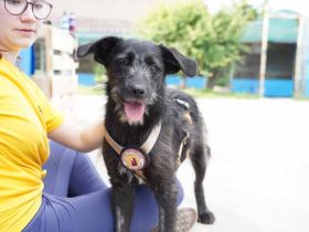 Kiara - Lebensfreude pur