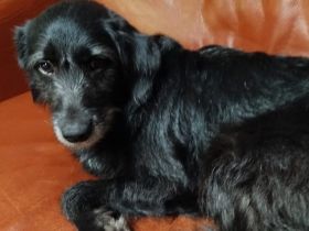 Kiara - Lebensfreude pur