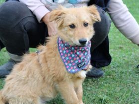 Neelo wartet schon auf dich