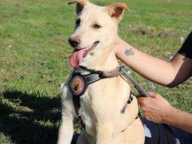 Vorsichtiger Tjark sucht sicheren Hafen