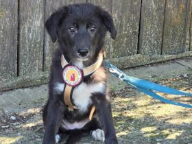 Momo's Blick ist voller Hoffnung