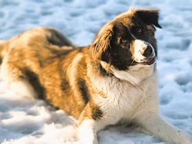 Amaris ist bereit für ein neues Leben