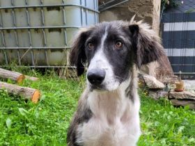 Amaris ist bereit für ein neues Leben