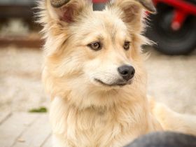 Iriska möchte endlich ankommen