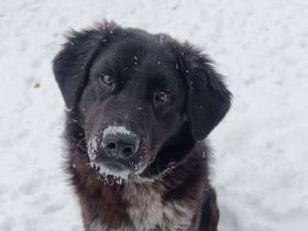 Ivy - voller Energie und Lebensfreude!