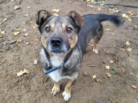 Lieber Petruscha sucht das große Glück