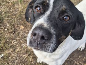 EMIL sucht eine liebe Familie