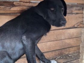 Sicherheit und Orientierung für Keesha