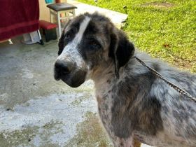 Sanfter Riese Clooney hofft auf seine zweite Chance