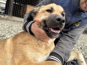 Die tolle Resa wartet auf dich