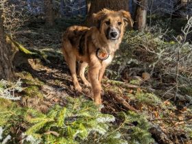 Kiani ist bereit für Abenteuer!