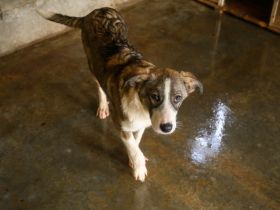 Feynas Zukunft startet JETZT mit dir!