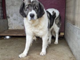 Tela braucht neues Vertrauen in uns Menschen