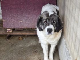 Tela braucht neues Vertrauen in uns Menschen