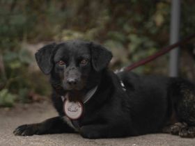 Zarte Seele Mona Lisa