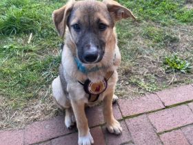 Melde dich für Conny!