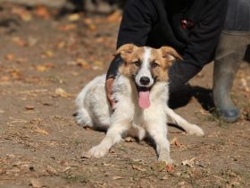 Jaron - sucht ein liebevolles und geduldiges Zuhause