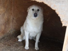 Wer schenkt Leroy einen Neuanfang?