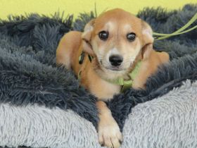 Anrai unser kleiner Prinz ....