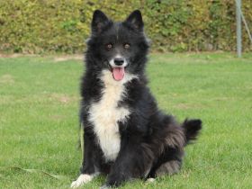 Yuki möchte endlich ankommen ...