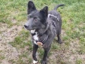 Kämpferin Sayana sucht Neuanfang