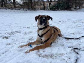 Kleine Kämpferin Lumina will sich in dein Herz kämpfen