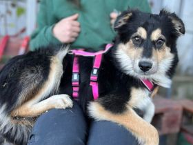 Themis wartet auf ihre Familie