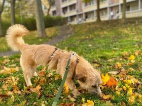 Ylwie ist ein echter Hauptgewinn