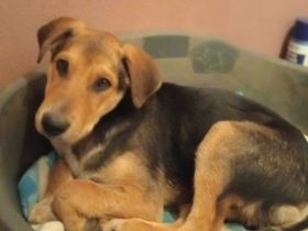 Verliebst du dich in Henry?