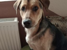 Verliebst du dich in Henry?