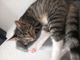 Ganz viel Liebe im Doppelpack