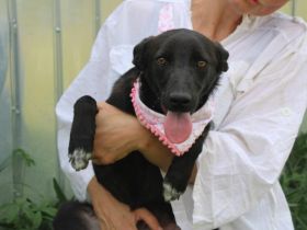 Zauberhafte Lynn sucht liebevolles Zuhause